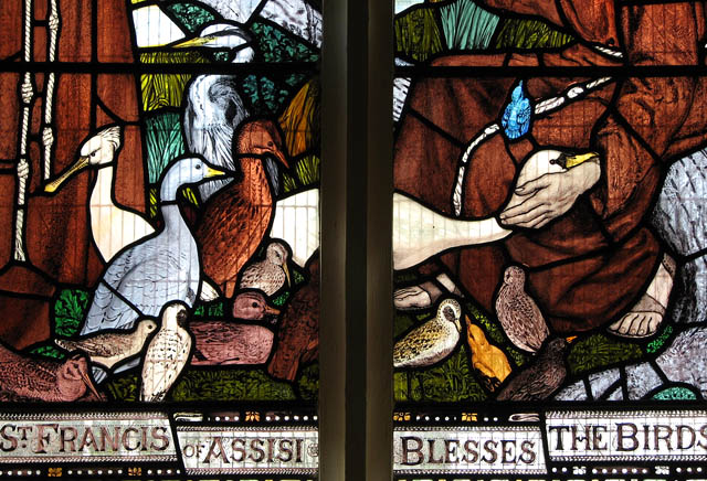 Image of St. Francis blessing the birds.